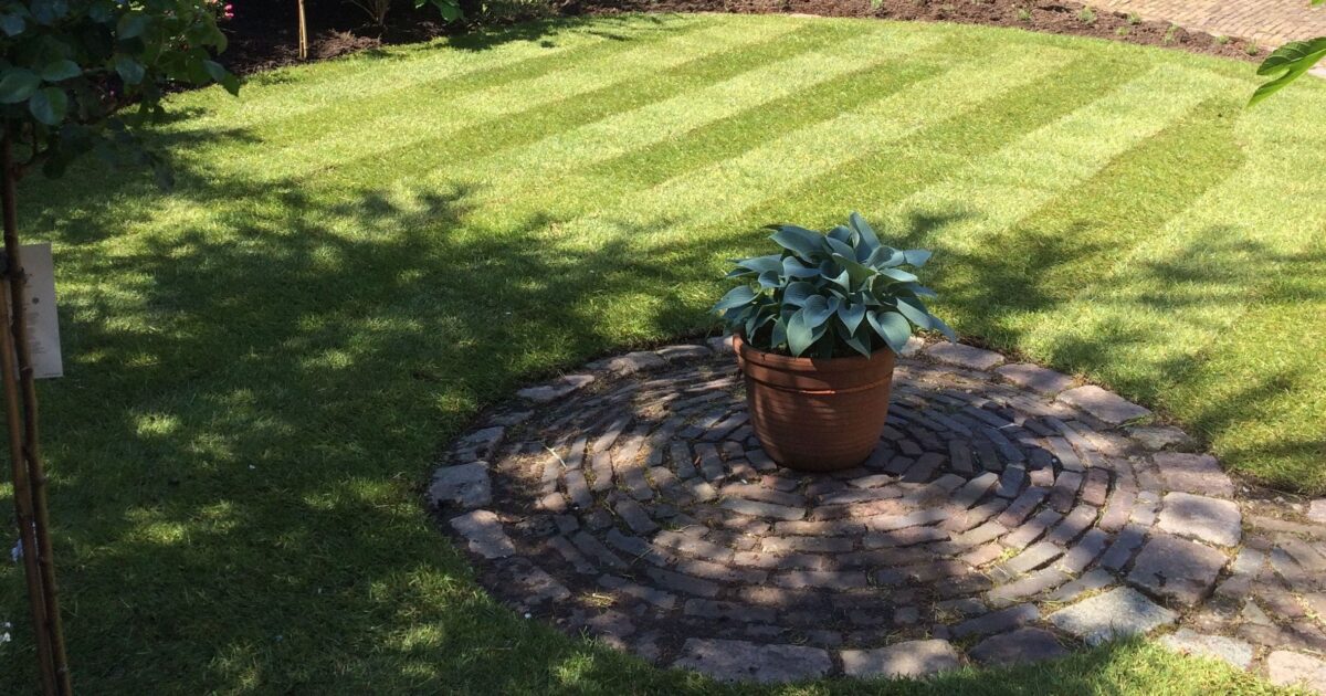 gazondonderhoud in leiden