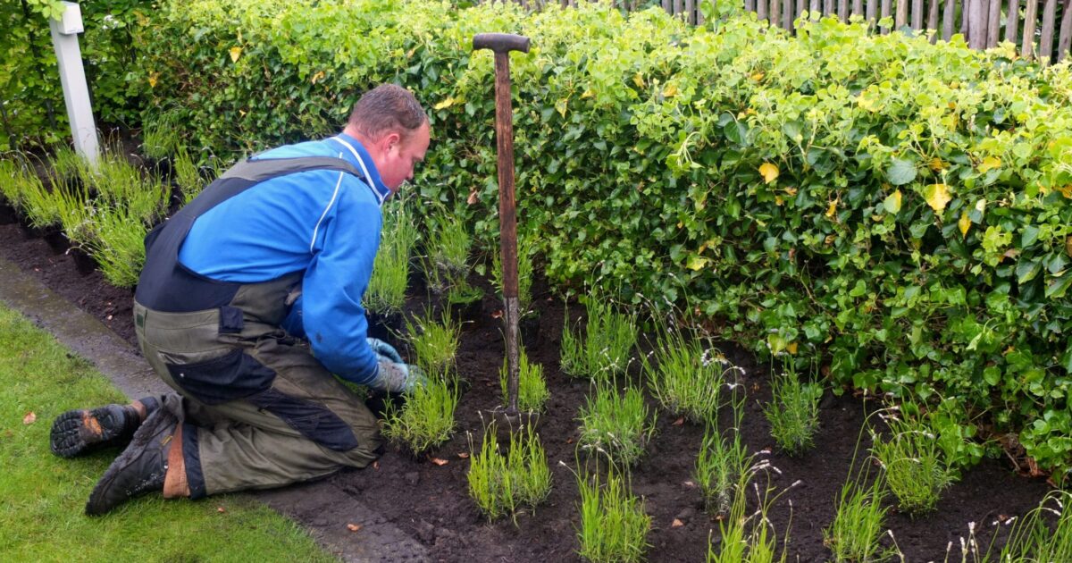 tuinonderhoud katwijk Tuinonderhoud Katwijk